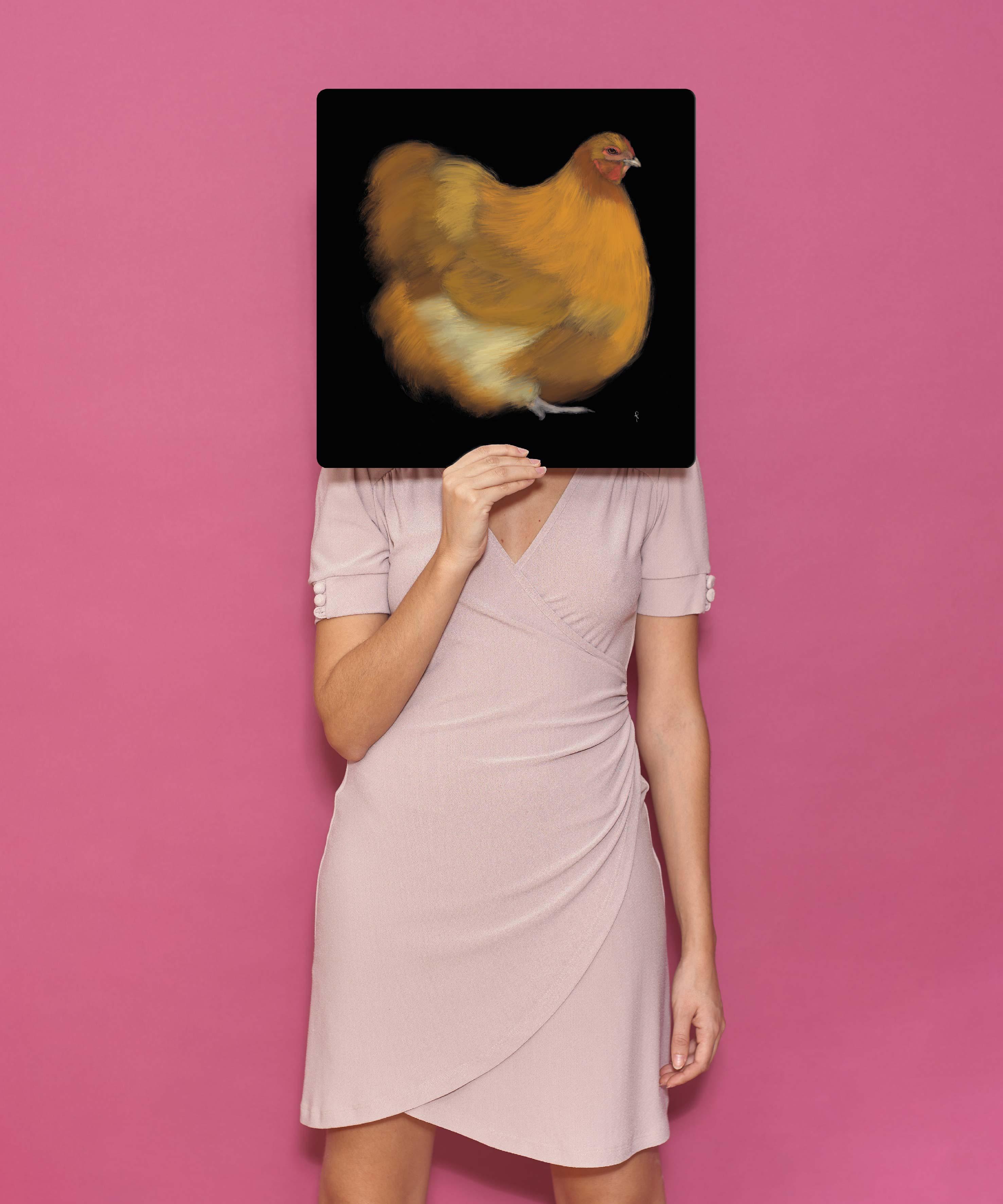 Che razza di galline!