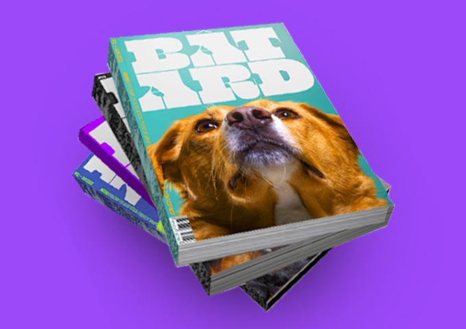 Conseils littéraires pour la revue Bâtard