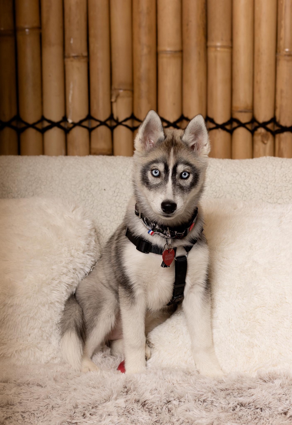 Concours Belles Gueules !