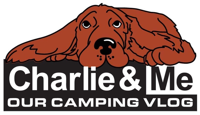 store_logo