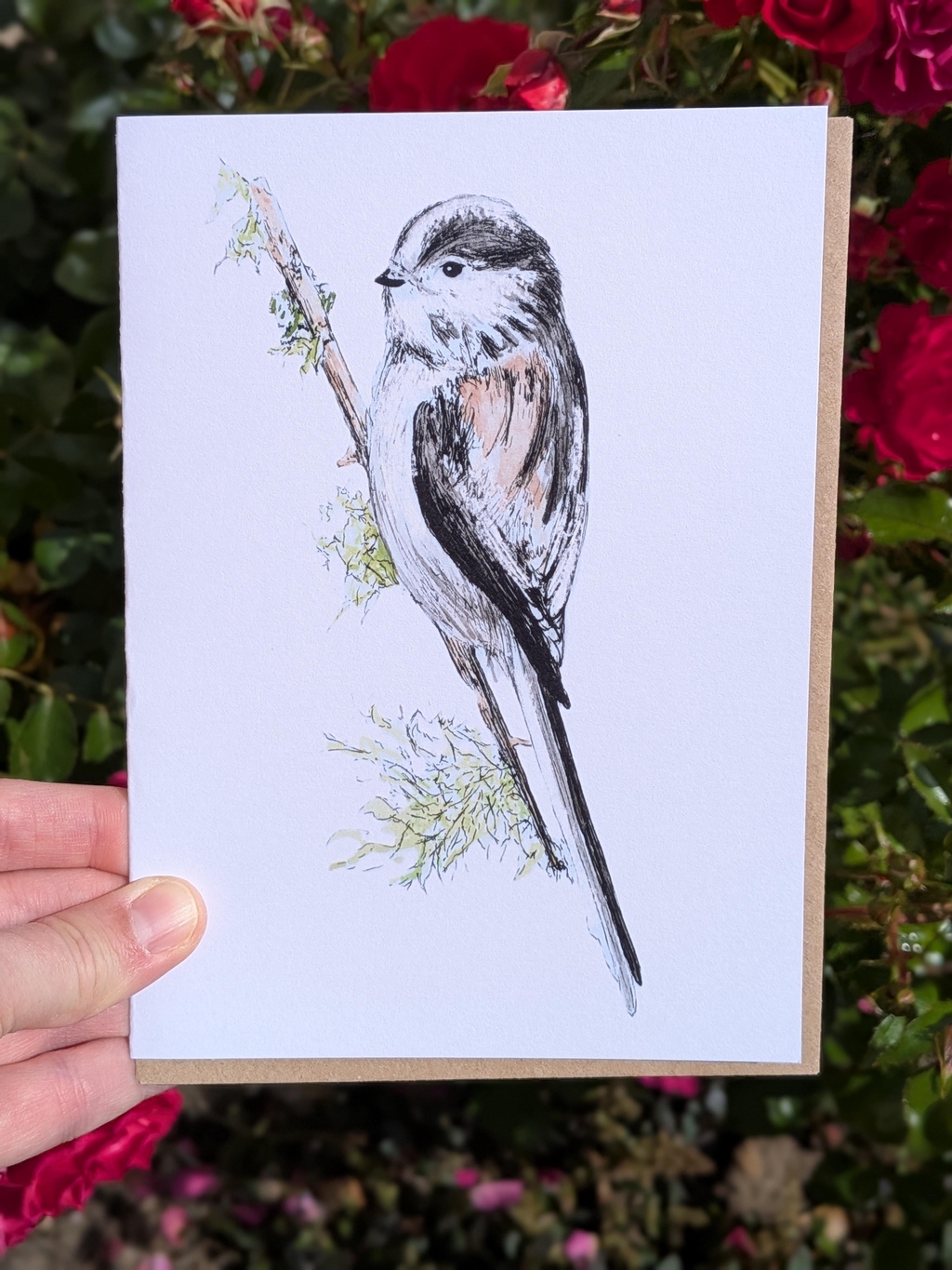 Blue tit