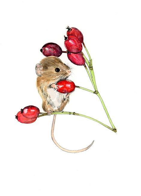 Harvest Mouse