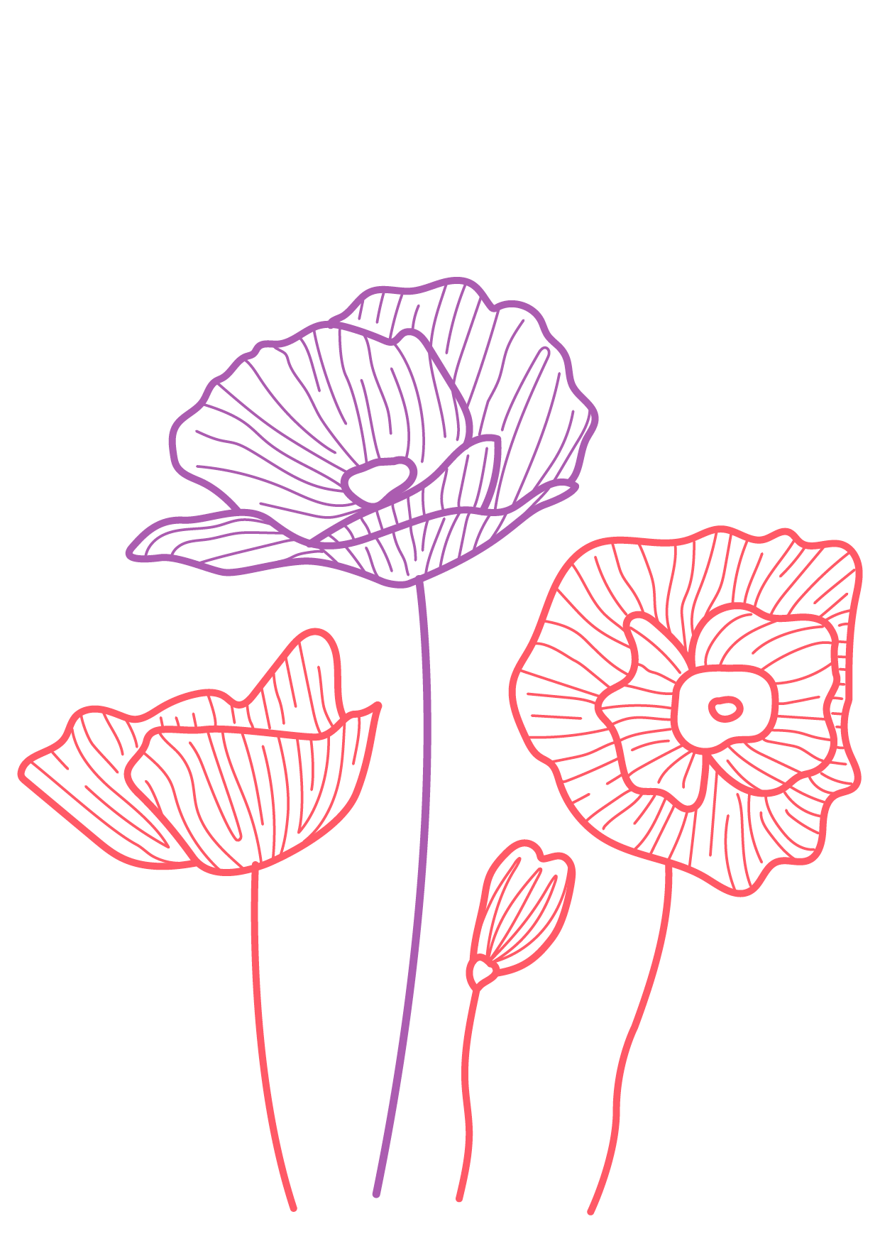 Florale Illustration im Newsletter-Bereich des Poppy Concept Store in München
