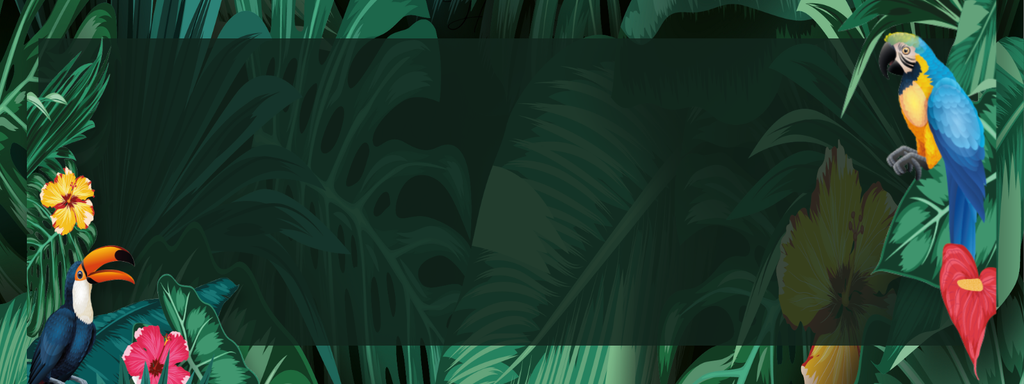 banner_image