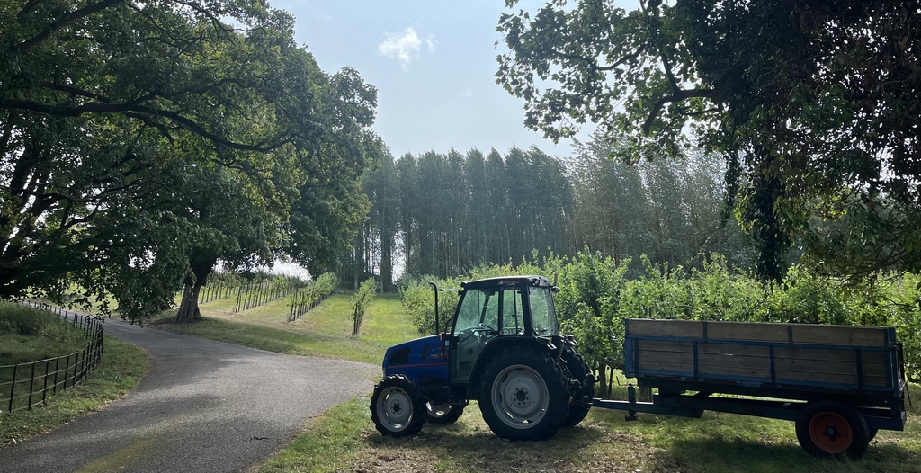 From our farm, to your glass.