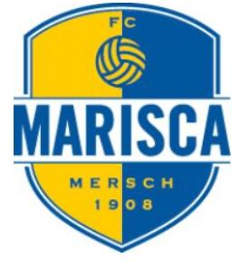 store_logo