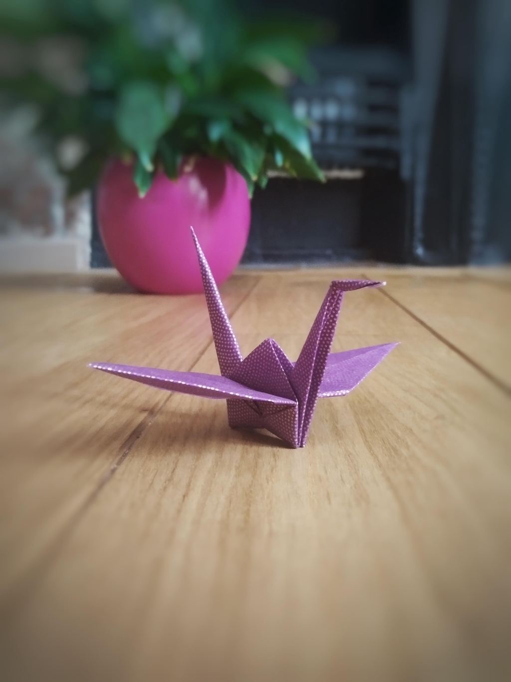 product_list_image_cover