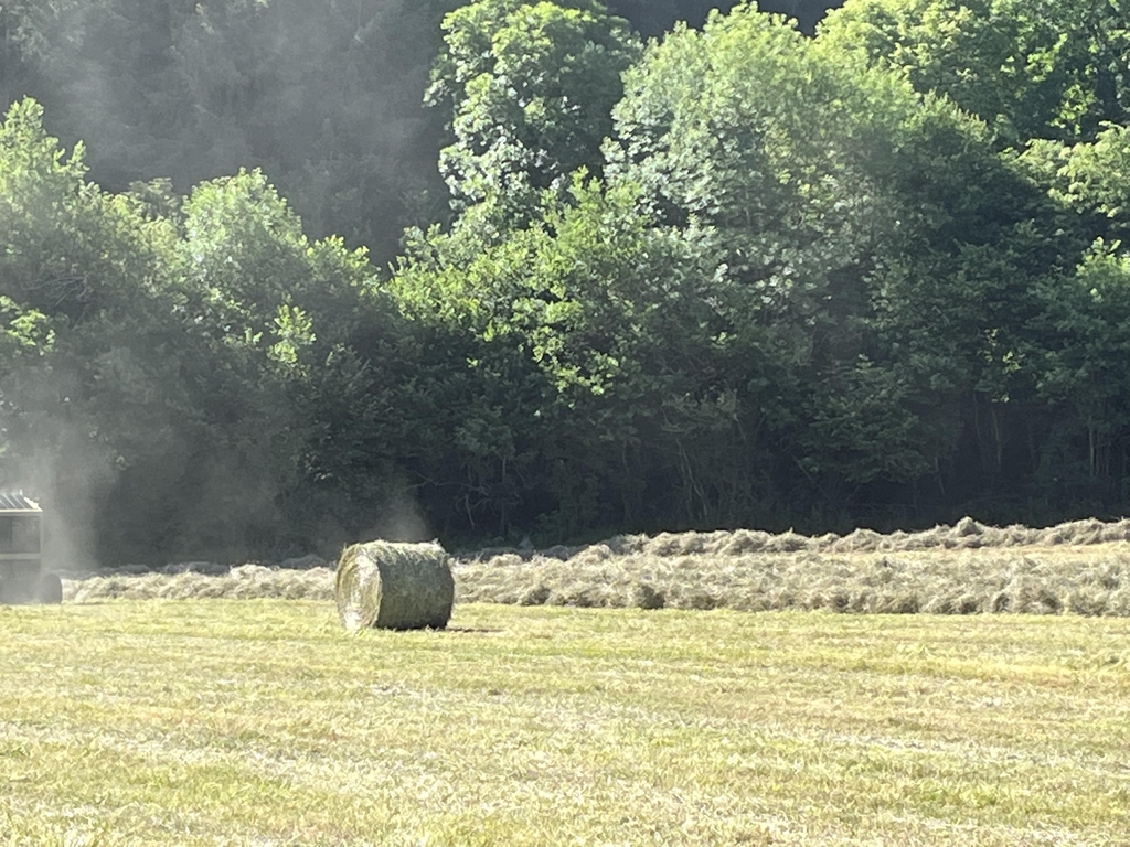 Pâtes fraîches fabrication artisanales sauce 100% producteurs italiens gnocchis tagliatelles canestris spaghettis macaronis ravioli chèvre bio 