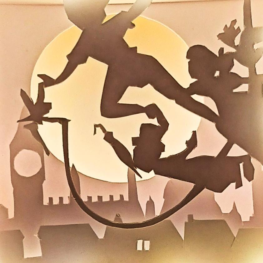 CAJA DE SOMBRAS
