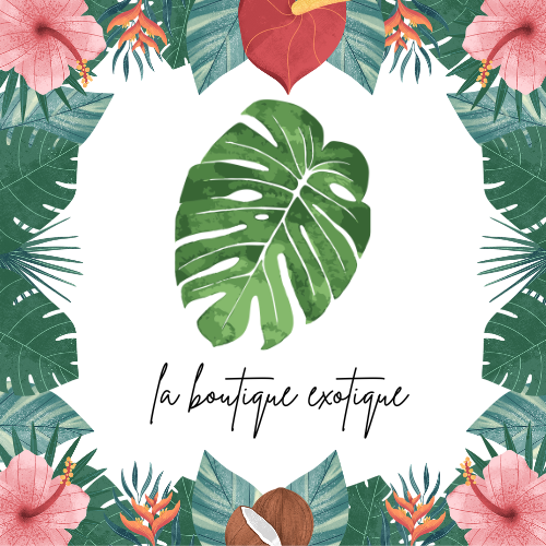 Plongez dans l’univers de La Boutique Exotique 🌺
Découvrez nos créations artisanales et faites main : bonnets en soie, bonnets en satin, turbans et bandeaux flexibles en wax.
Chaque pièce est conçue avec soin pour allier style, confort et originalité, idéale pour protéger vos cheveux, sublimer vos looks ou offrir un cadeau unique.