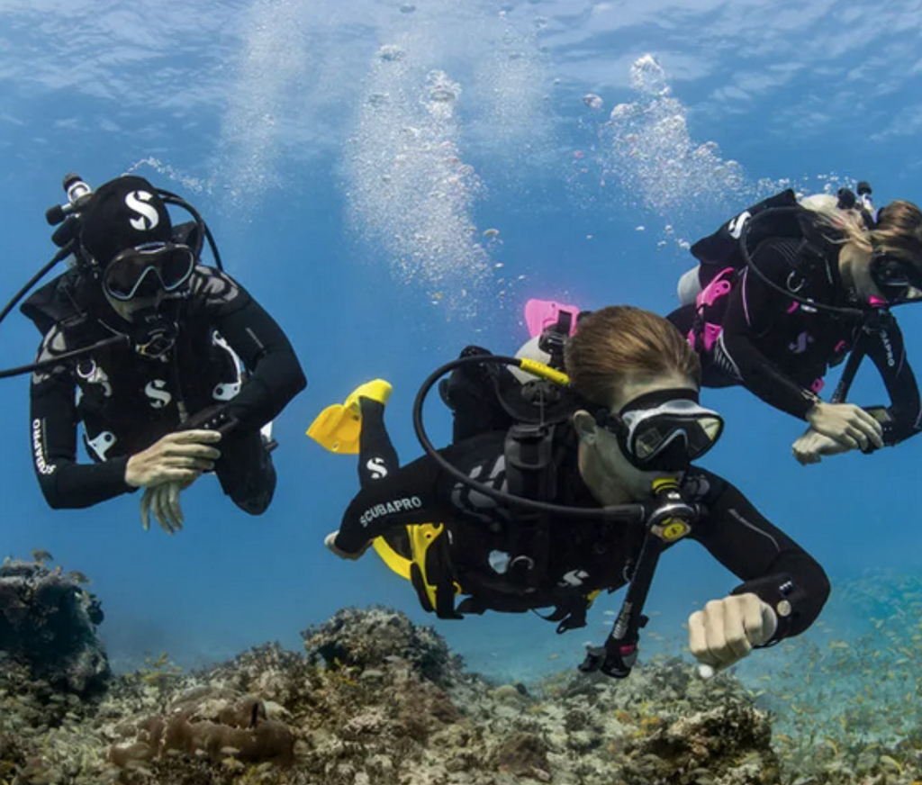 product_list_image_cover