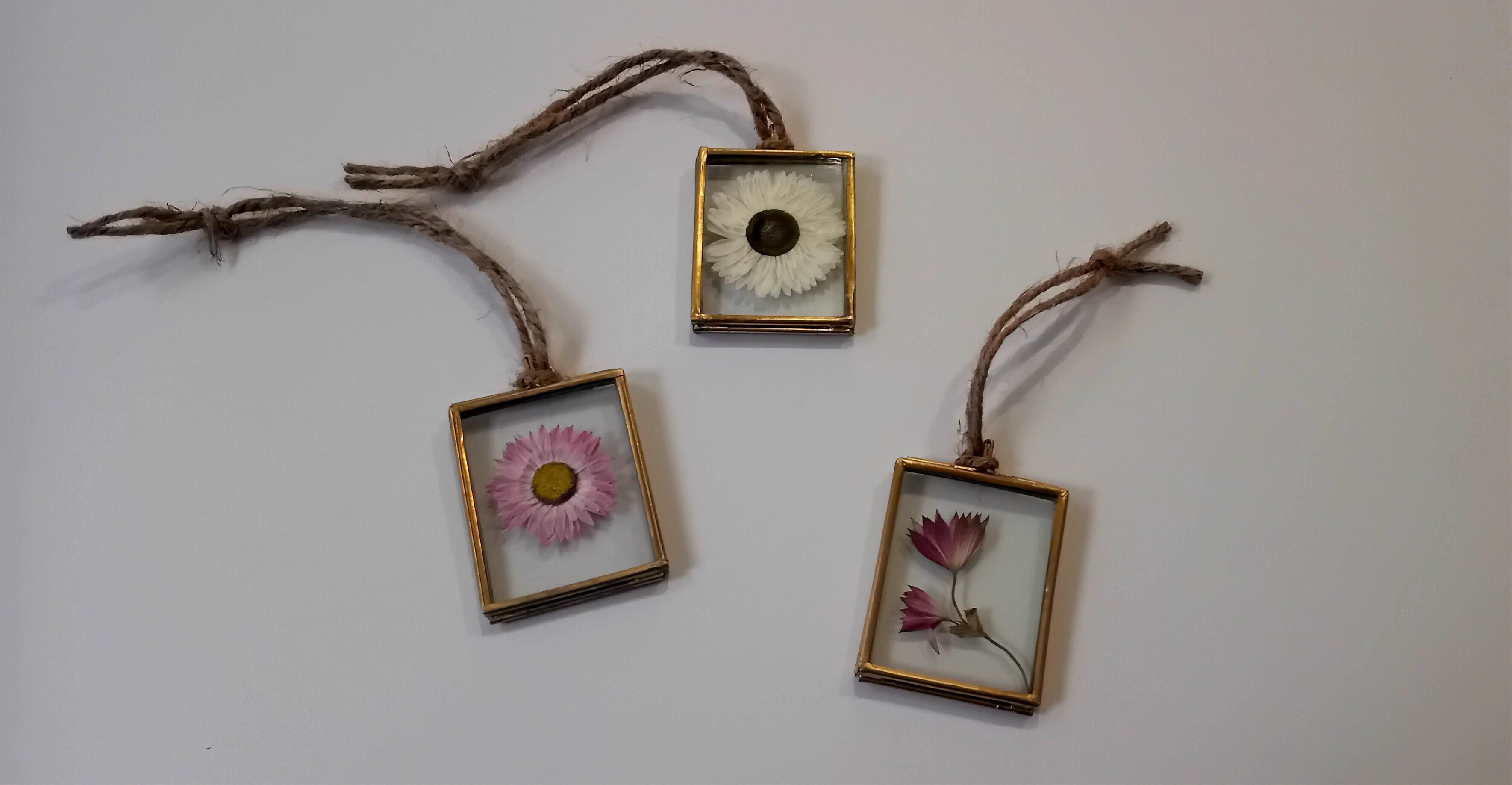 Floating Flower Frames