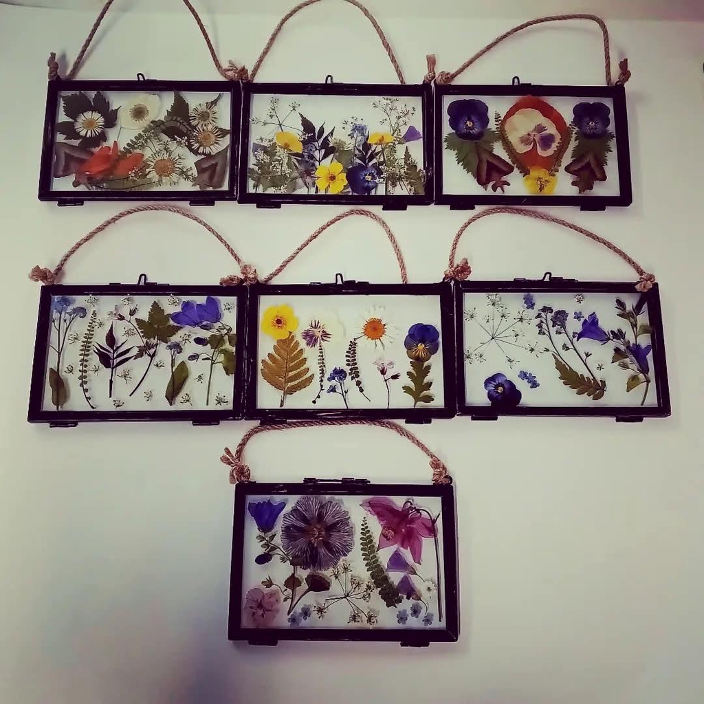 Create A Pressed Flower Herbarium / Creu herbariwm blodau wedi'i 
