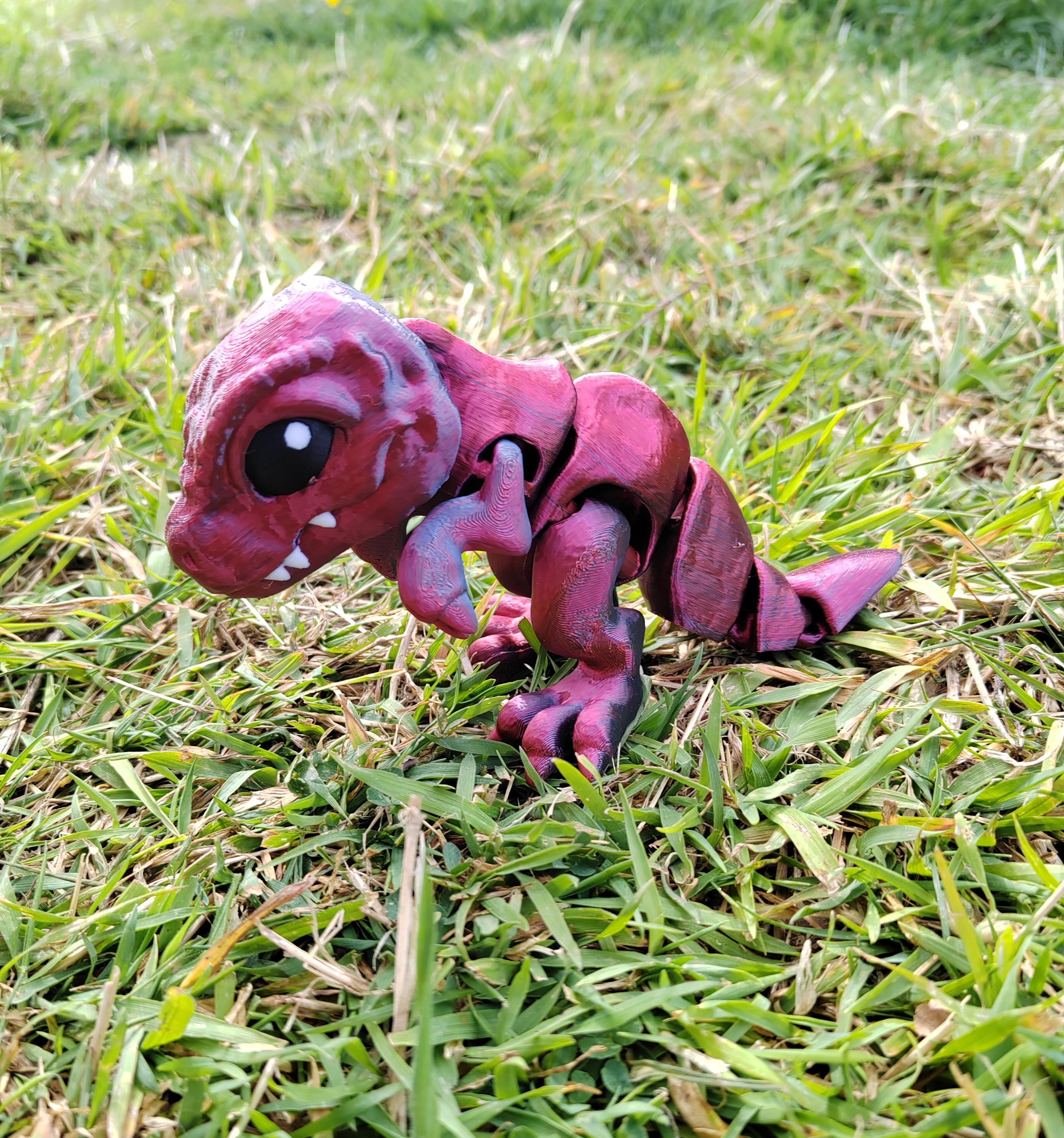 Animaux articulés