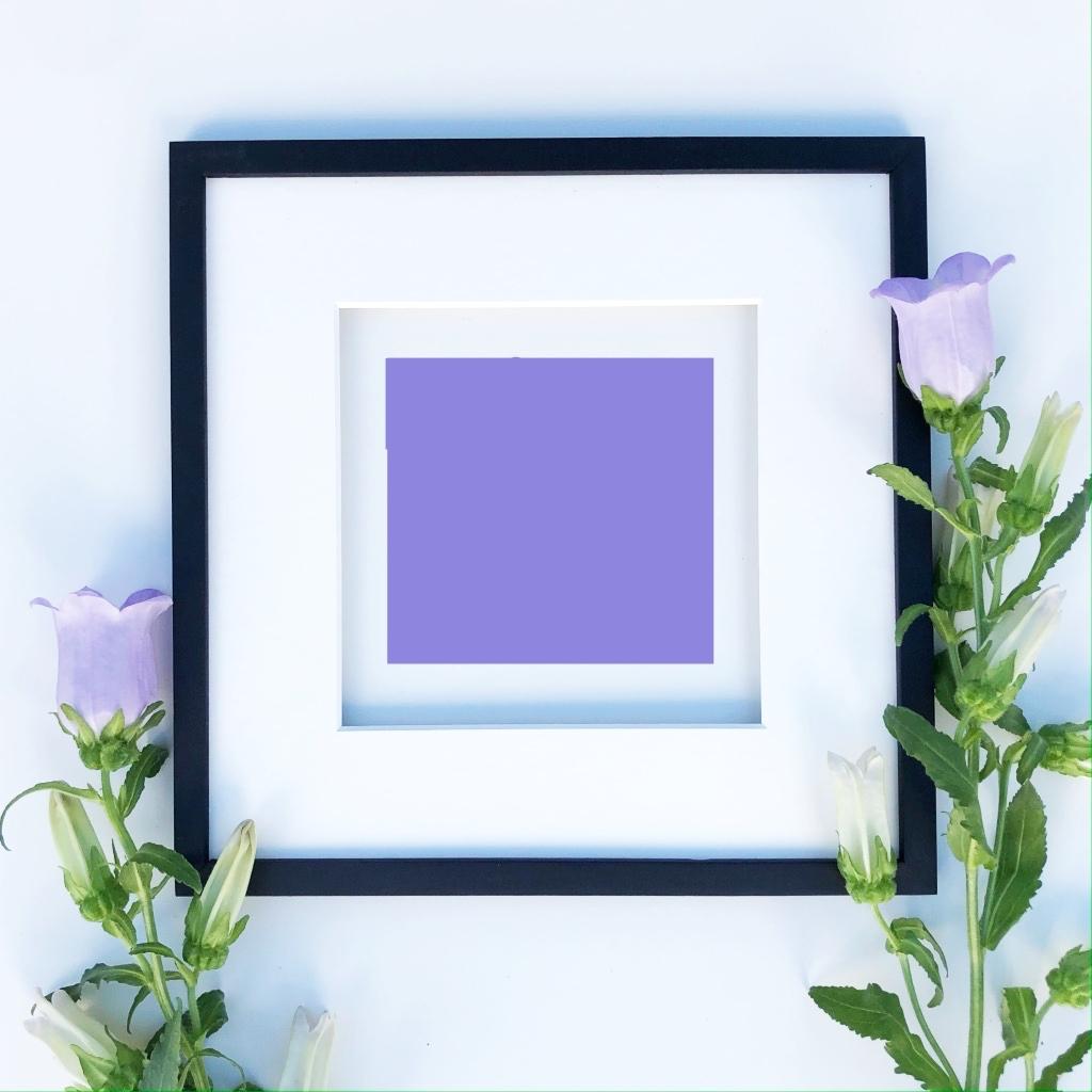 Prints