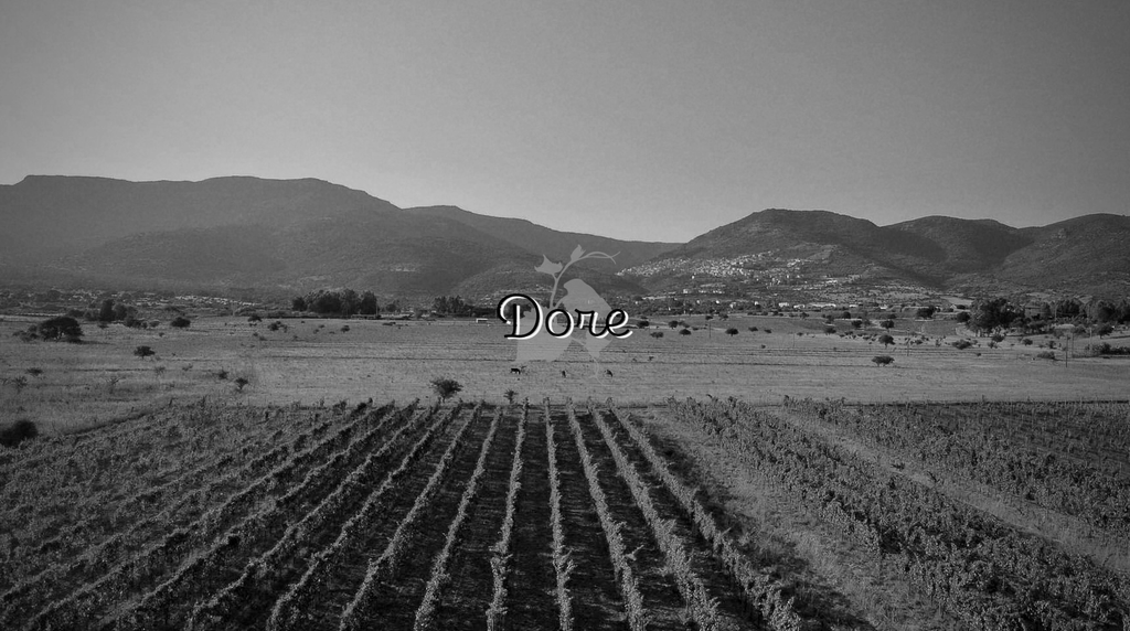 Azienda agricola "Dore" Bolotana