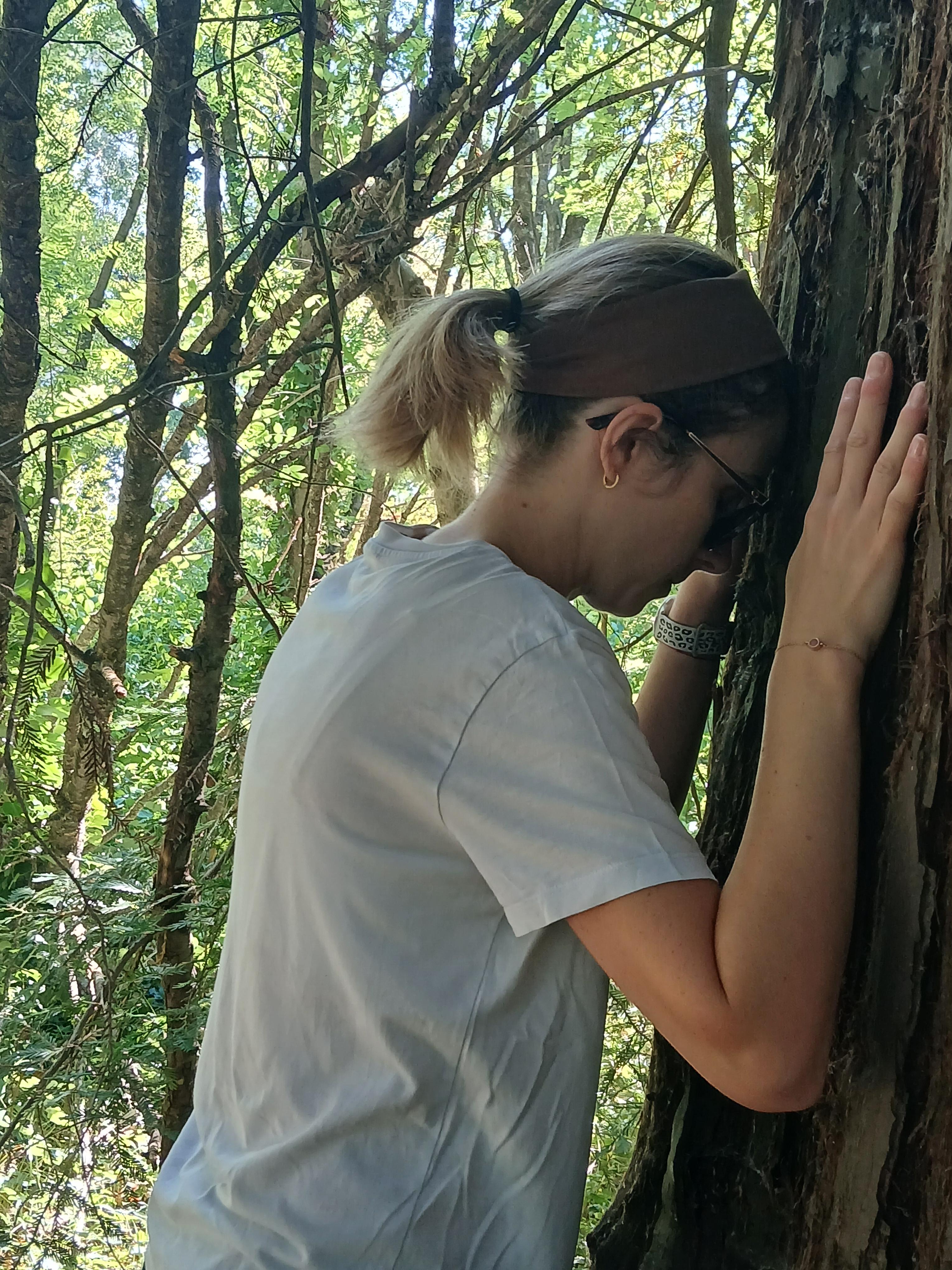 La nature et les arbres, sources de bien-être