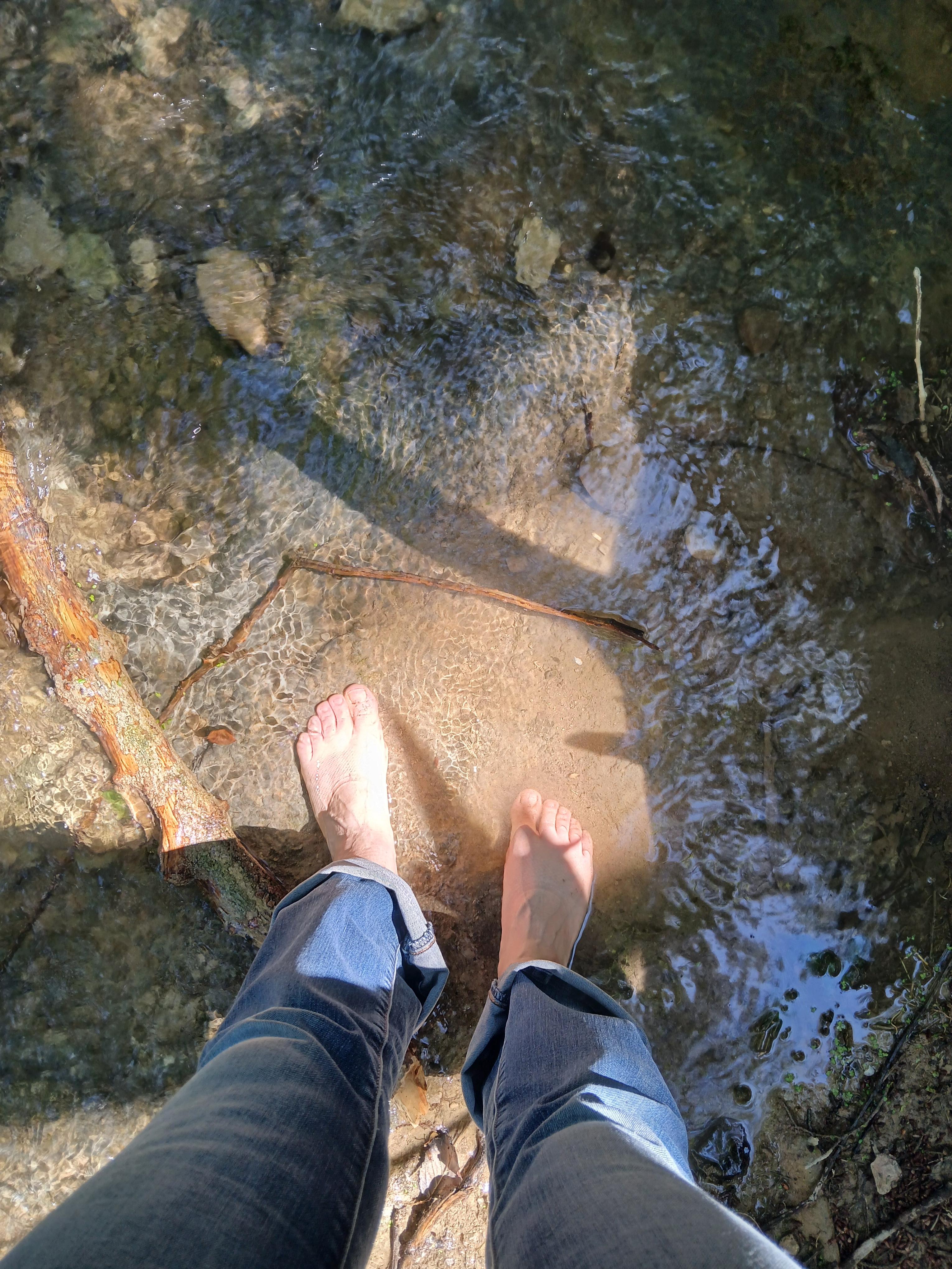 Au fil des saisons