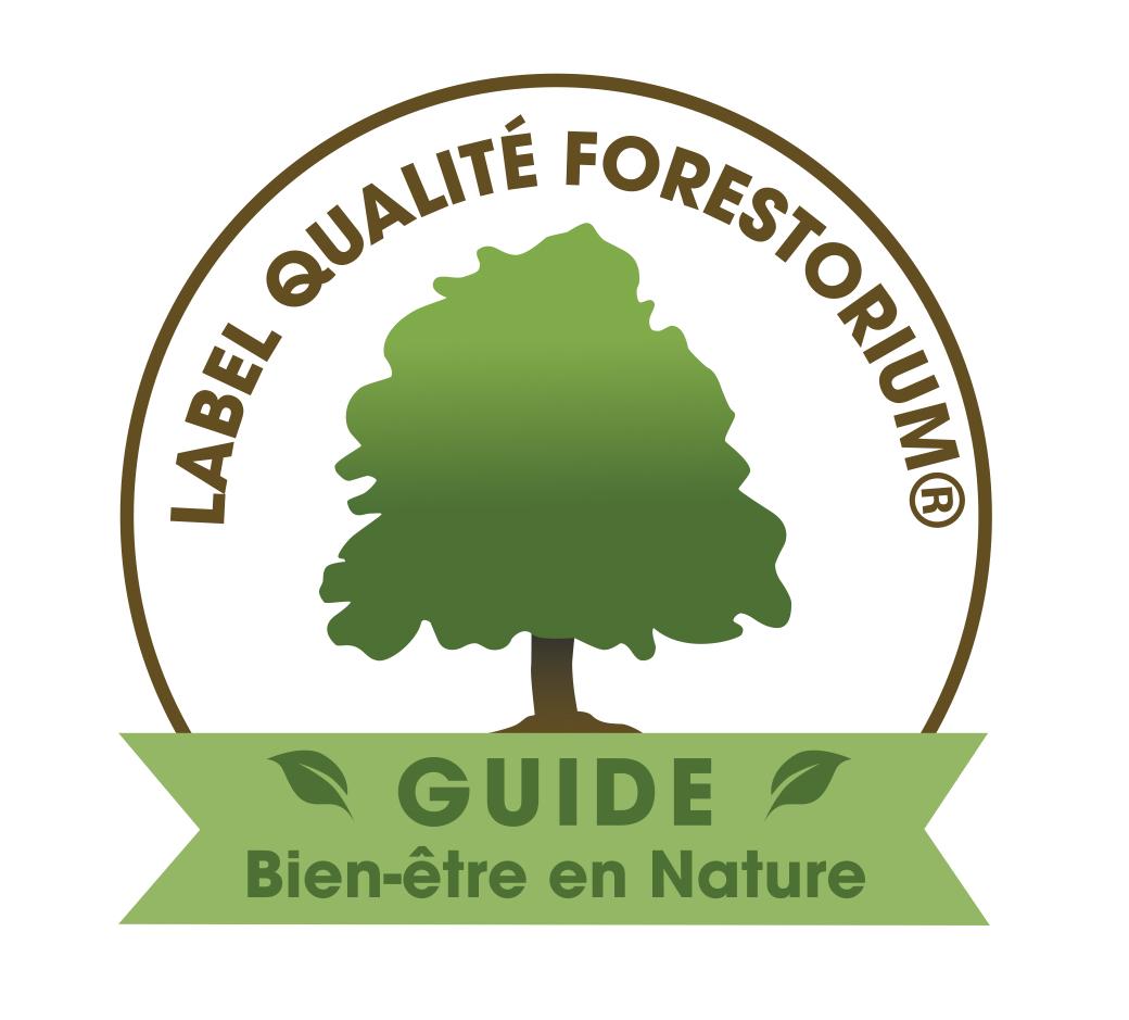 Mes formations et mon expertise