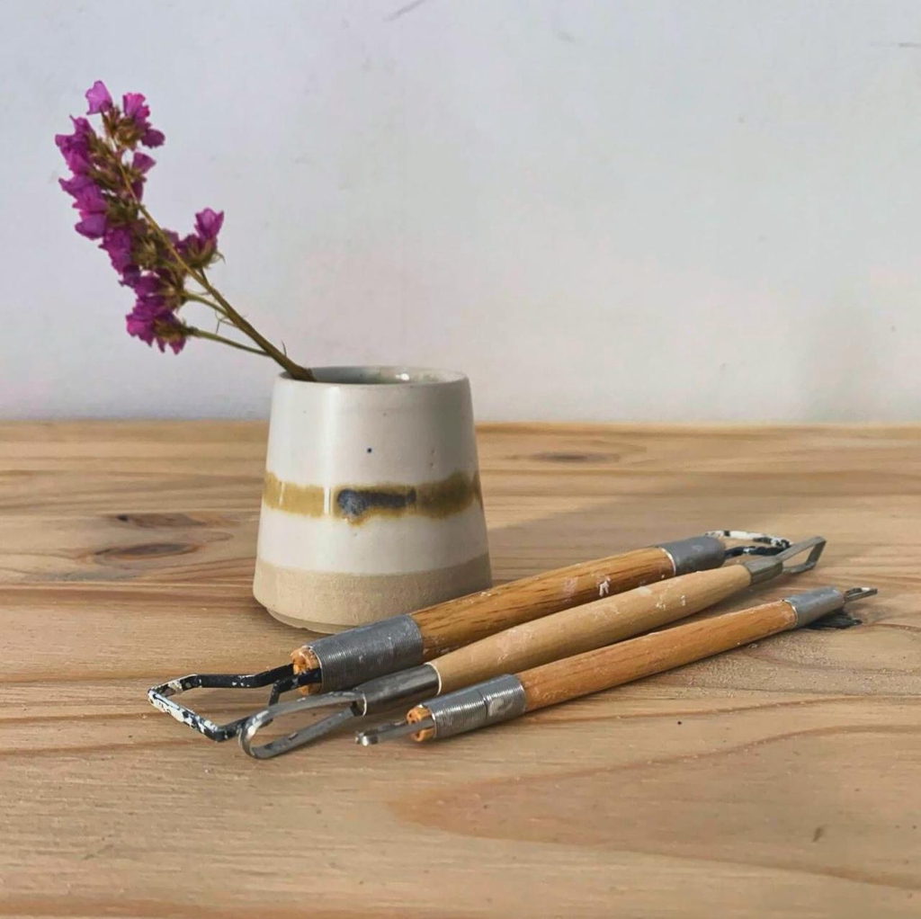 des anémones dans un tasse en grès